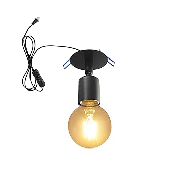 ライト コンセントタイプ Amazon.co.jp: FSliving LEDダウンライト コンセント式 器具一